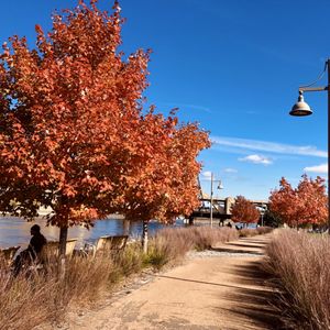 Will you marry me, please? I said please!