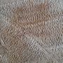Photo of Country Carpet