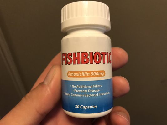 Fishbiotic amoxicillin 500mg