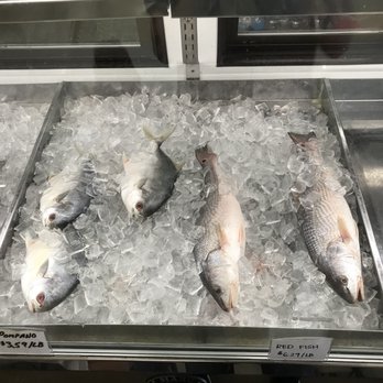 All Season Seafood - Seafood Near Me - Pearland, Texas