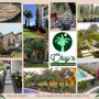 Photo of Chuy's Nursery and Landscaping