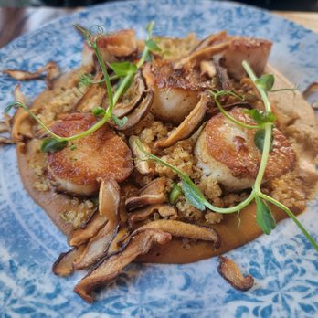 Earl's New American - Pan Seared Scallops - Seafood Near Me - New Hope, Pennsylvania Earl's New American - Pan Seared Scallops - Seafood Near Me - New Hope, Pennsylvania