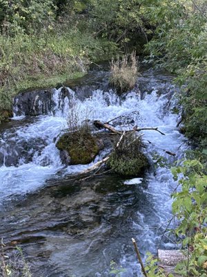 Spearfish Canyon Lodge by null