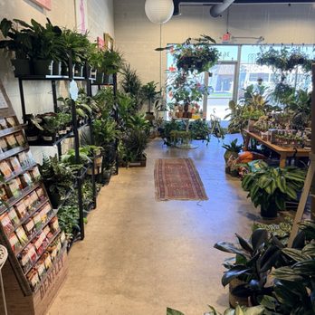 House Plant Collective - Nurseries & Gardening Near Me - Birmingham, Alabama House Plant Collective - Nurseries & Gardening Near Me - Birmingham, Alabama