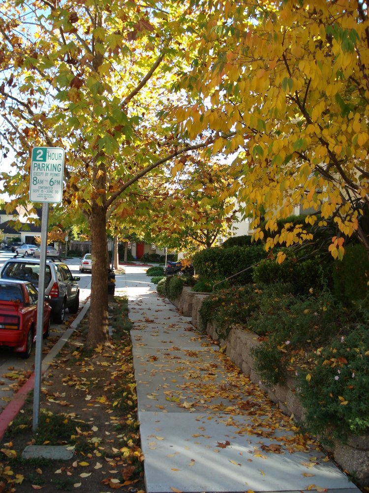 WESTMONT PLACE TOWNHOMES Updated October 2024 11 Photos & 15