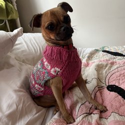 PS9 Pet Supplies