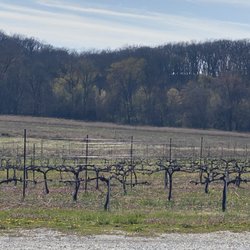 Wild Pickins Winery - Vineyards