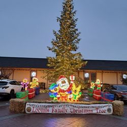 Loomis Train Depot - Take fun, festive Christmas tree photos at the Loomis Train Depot. Photo taken 12/21/24.