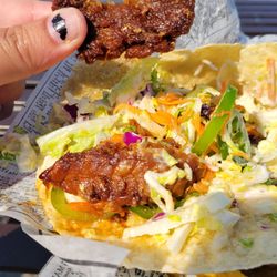 The actual amount of fish I got in the taco.