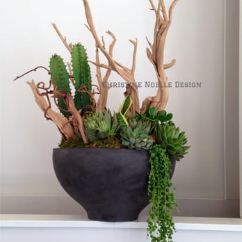 Christine Noelle Design - Signature Orchid, Succulent and Cactus Gardens - Florists Near Me - Chicago, Illinois
