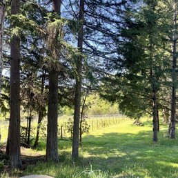 View from the tasting tables in May.
