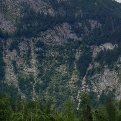 Obersee - Ausblick