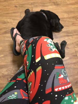 Phoenix Mountain Animal Hospital 4727 E Cactus Rd Ste 124 Phoenix Az Veterinarians Mapquest