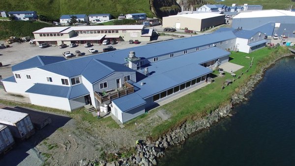 Harbor View Bar & Grill by null