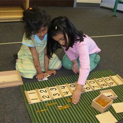 Delight Montessori School