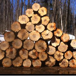 Larry Miscio Logging & Firewood Sales - Photo