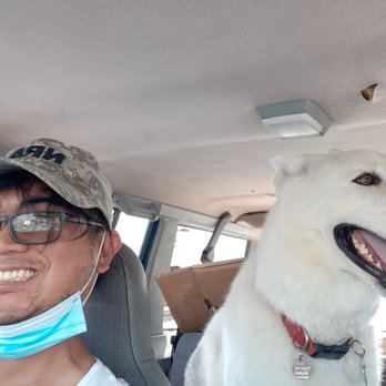A Arrow Alignment - Approval that the alignment is working in the street with my rescued Gerbarian Shepsky, Kylo Ren. - Auto Repair Near Me - Las Vegas, Nevada A Arrow Alignment - Approval that the alignment is working in the street with my rescued Gerbarian Shepsky, Kylo Ren. - Auto Repair Near Me - Las Vegas, Nevada