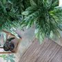 Photo of Aura Plant Studio