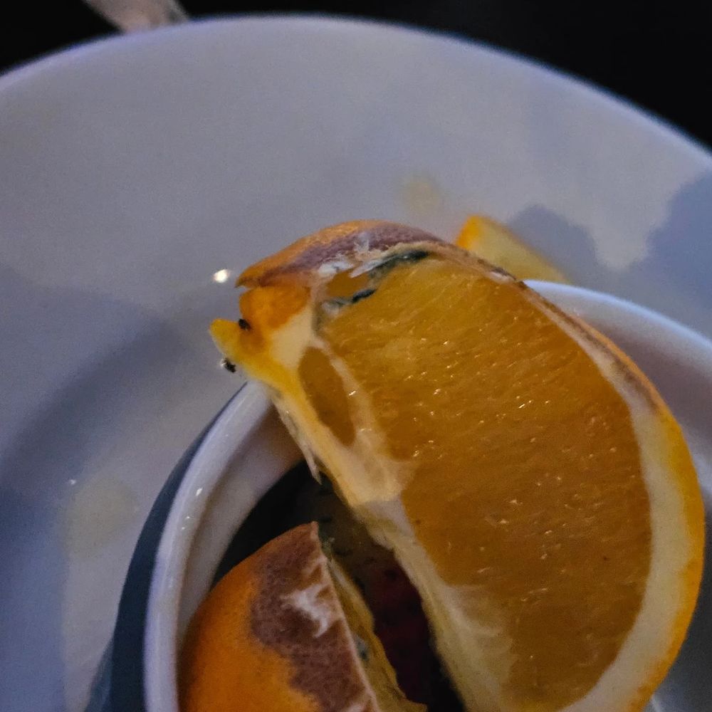 Let It Fly - Moldy fruit - Sports Bars Near Me - La Vista, Nebraska