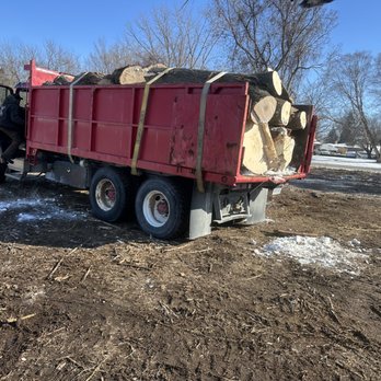 Active Tree Experts - Tree Services Near Me - Richmond, Michigan Active Tree Experts - Tree Services Near Me - Richmond, Michigan