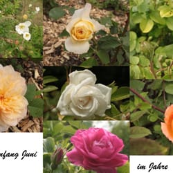Garten Von Marihn
