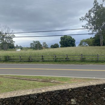 MauiWine - View - Wineries Near Me - Kula, Hawaii