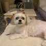 Photo of Armadale Animal Hospital