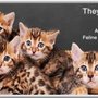 Photo of Clinton Veterinary Hospital