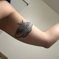 Quiet Storm Tattoo and Piercings - Sick moth tattoo