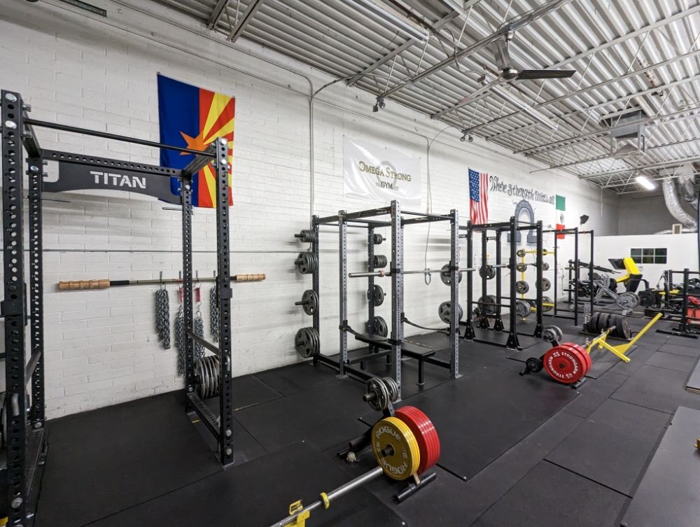 Omega Strong Gym Logo