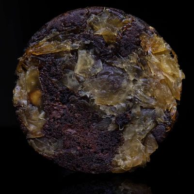 The Cookie Odyssey by null