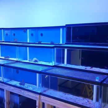 Coral Bite Aquarium - Local Fish Stores Near Me - San Juan, Puerto Rico
