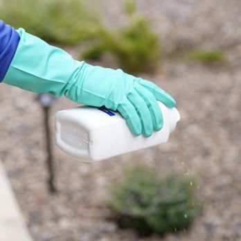 Green Arrow Pest Solutions - Spot treatment for ants - Pest Control Near Me - Phoenix, Arizona