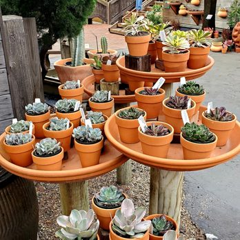 The Garden Gallery - Nurseries & Gardening Near Me - Morro Bay, California The Garden Gallery - Nurseries & Gardening Near Me - Morro Bay, California