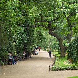 Hidden Valley Tree Service
