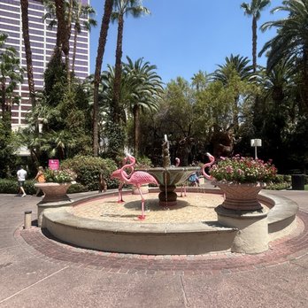Flamingo Las Vegas - Hotels Near Me - Las Vegas, Nevada Flamingo Las Vegas - Hotels Near Me - Las Vegas, Nevada