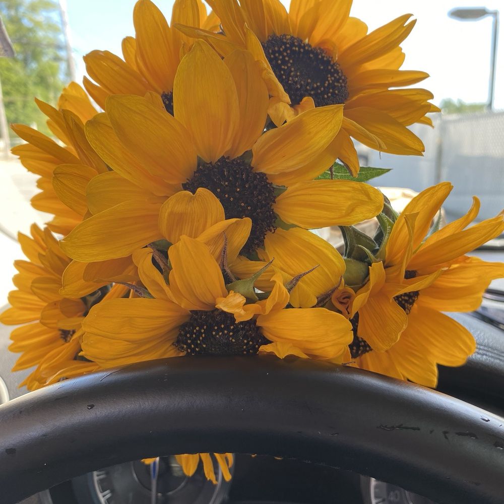 THE BEST 10 FLOWERS \u0026 GIFTS near WATERFORD, ME - Updated 2026 - Hours - Yelp, image size:1000x1000