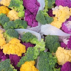 Tawas City Park - Farmer's market