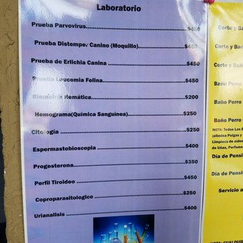 La Vet24hrs - Veterinarians Near Me - Tijuana, BCN La Vet24hrs - Veterinarians Near Me - Tijuana, BCN