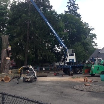 Chipper Tree Service - Tree Services Near Me Chipper Tree Service - Tree Services Near Me
