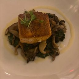 Salmon Salmon
