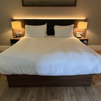 Element Amsterdam - Hotels Near Me - Amsterdam, New Hampshire Element Amsterdam - Hotels Near Me - Amsterdam, New Hampshire