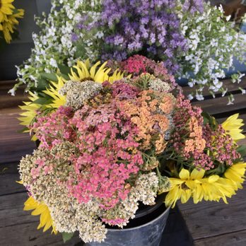Earthbound Farm Stand - Flowers - Organic Stores Near Me - Carmel, California Earthbound Farm Stand - Flowers - Organic Stores Near Me - Carmel, California