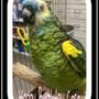 Photo of Allen Veterinary Hospital