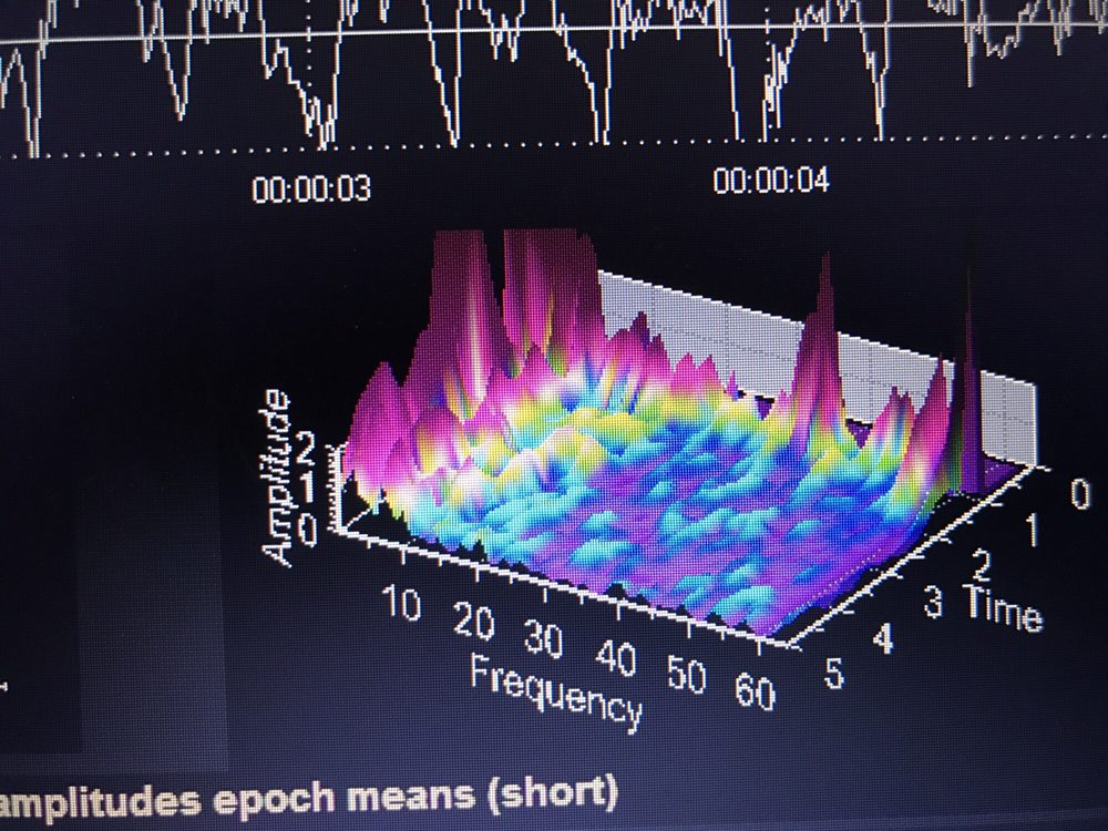 Norma Faraone-Ledgard - grief counselor in Cranston, RI