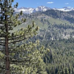 Glacier Point - Viewpoint on the way