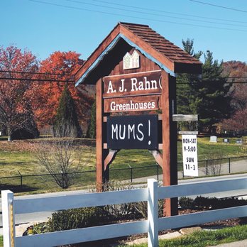 AJ Rahn Greenhouses - Nurseries & Gardening Near Me - Cincinnati, Ohio AJ Rahn Greenhouses - Nurseries & Gardening Near Me - Cincinnati, Ohio