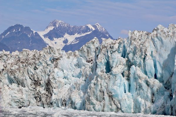 Lu-Lu Belle Glacier Wildlife Cruises