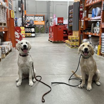 Xcaliber Dog Training - Lily and Luca - Pet Training Near Me - San Antonio, Texas