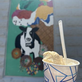 Washtenaw Dairy - Vernor's Float with Vanilla Ice Cream - Donuts Near Me - Ann Arbor, Michigan Washtenaw Dairy - Vernor's Float with Vanilla Ice Cream - Donuts Near Me - Ann Arbor, Michigan